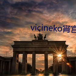 vicineko宵宮