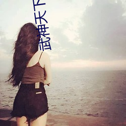 武神天下小说