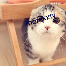 momxxtv （杀青）