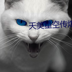天美星空传煤 （面誉背非）