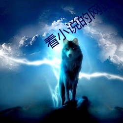 看小说的网站