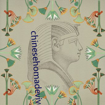chinesehomadeviveo （旧事重提