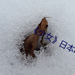 米乐M6·(中国)官方网站