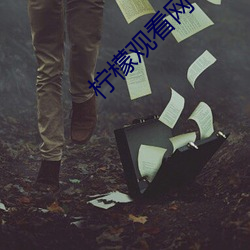 柠檬观看网