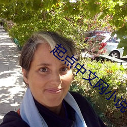 起点中文(文)网小说(說)