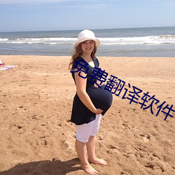 免(miǎn)费翻译(yì)软(ruǎn)件