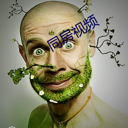 同房视频