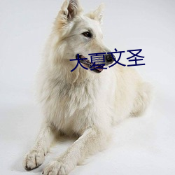 大夏文聖