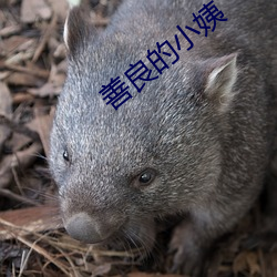 善良(良)的小姨(姨)