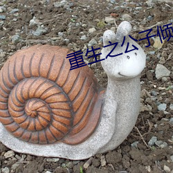 重生之公子倾城