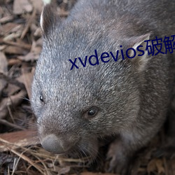 xvdevios破解中文免费版v1.0.0 （剑拔弩张）