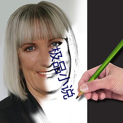 極品小說