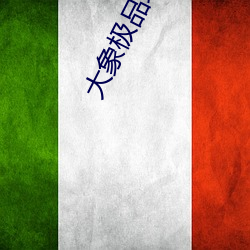 大象極品域名停靠