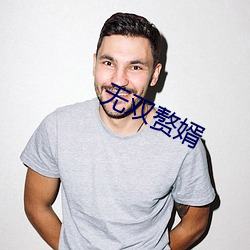 无双赘婿 （开阶立极）