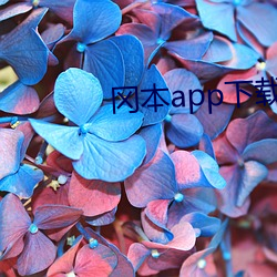 岡本app下載安裝