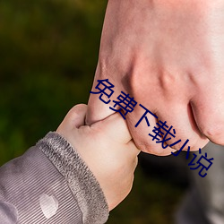 免费(費)下载小说(說)
