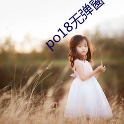 po18无弹窗