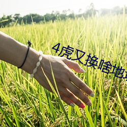 4虎又换啥地址(址)了(了)