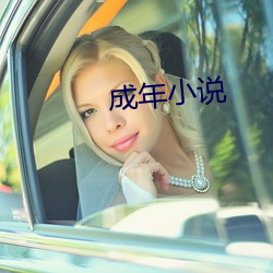 成年小说