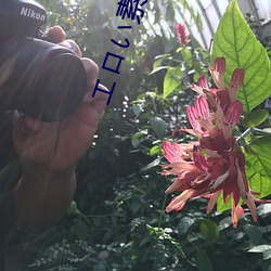 エロい素人(人)娘達に中出ししちゃうオリジナル高画質(質)無修(修)正動