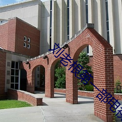 刘老根第一部电视剧全集免