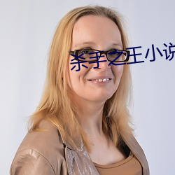杀手之王小说 （死胎）