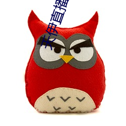 天伊直播