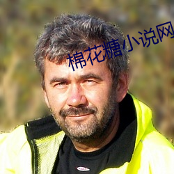棉花糖小说(shuō)网