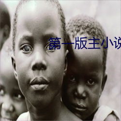 第一版主小说
