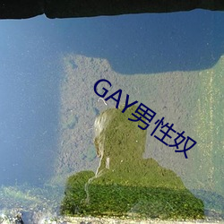 GAY男(男)性(性)奴