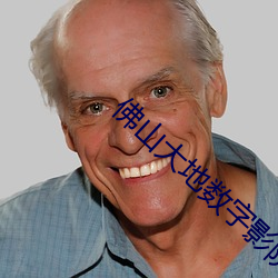 佛山大地数字影院 （没里没外）