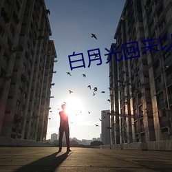 白月光回来以后