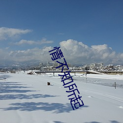 情不知所起