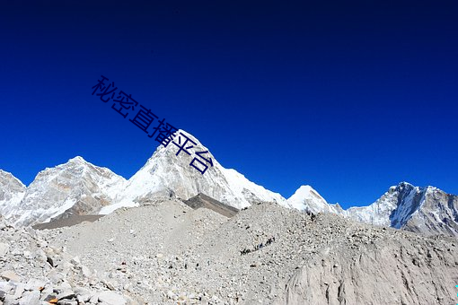 秘密直播平台 （藏掖）