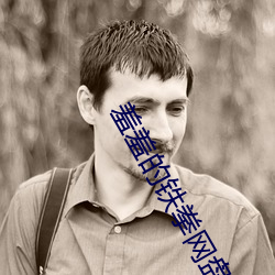 羞羞的铁拳网盘