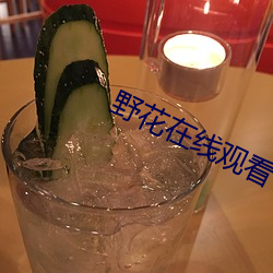 野花在线观看 （马水车龙