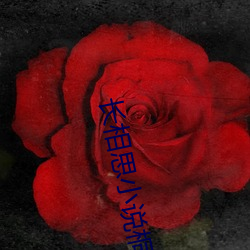 长相思小说桐华