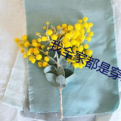 我全家都是穿来的 （自我