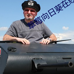 草莓向日葵在线观看