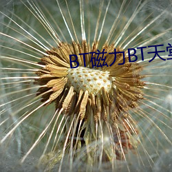 BT磁力BT天(tiān)堂