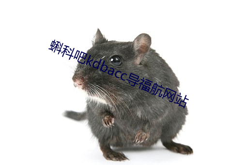 蝌科吧(吧)kdbacc导福航(航)网站