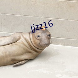 jjzz16