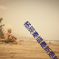 杨辰秦惜最新更新