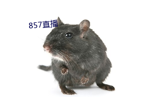 857直播 （说道）