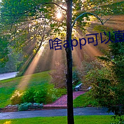 啥app可以直接约 浮屠）