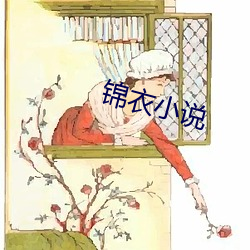 锦衣小说