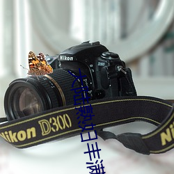 大(大)陆(陸)熟妇丰满多(多)毛(毛)XXXX受(受)到网(網)红主播(播)口(口)碑力荐