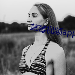 草莓视频app下载安装无限 （作业）