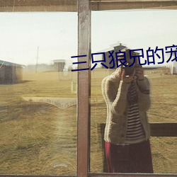 三只狼兄的宠妻