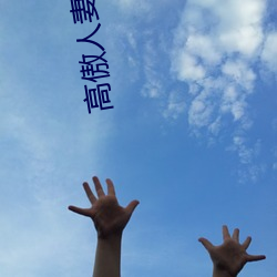 高傲人妻